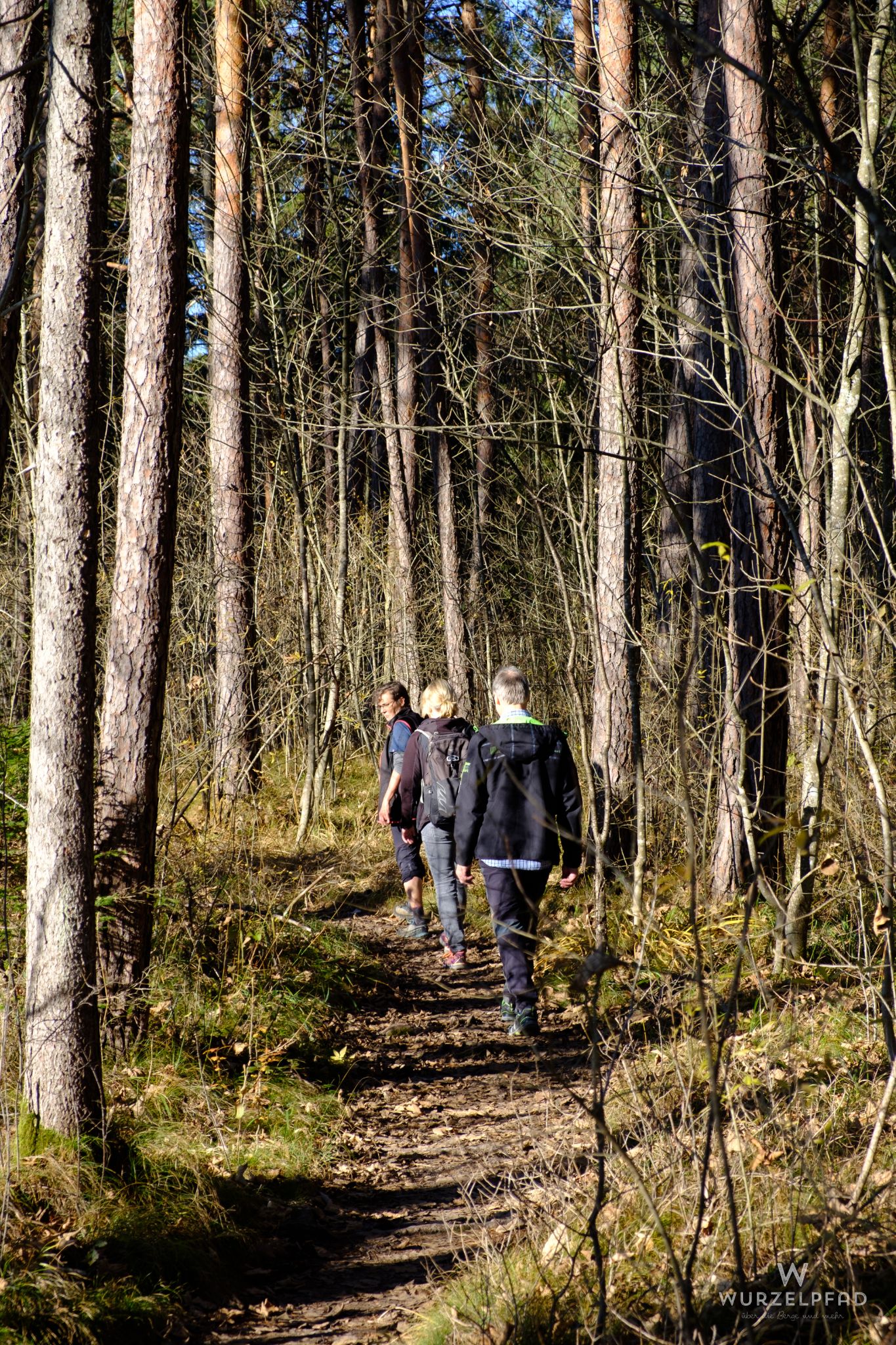Pfad der etwas breiteren Sorte